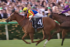 James McDonald rides Flying For Fun.