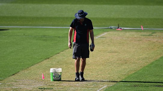 THe Boxing Day pitch saw the Test get off to a slow start.