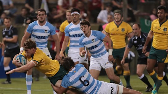 Wallabies' late revival in Argentina may have saved Cheika's job