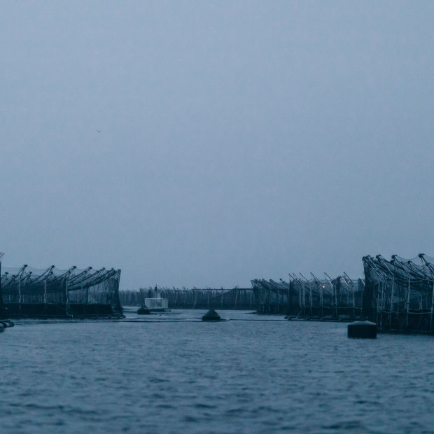 Salmon pens lining the D’Entrecasteaux Channel in Tasmania.