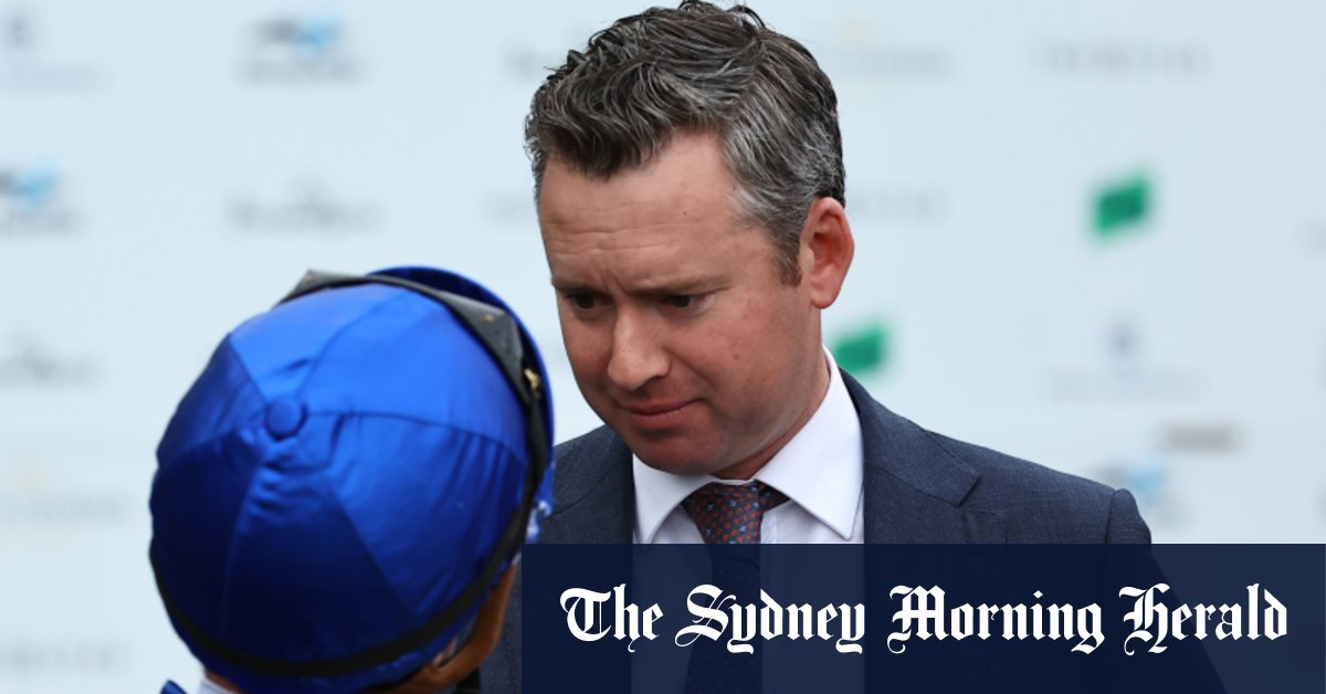 Mayfair Seeks Revival in Hobartville Stakes at Rosehill