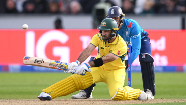 Time to lead: Glenn Maxwell has a key role to play with bat and ball in Pakistan. 