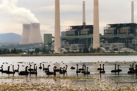 AGL's Hunter Valley site.