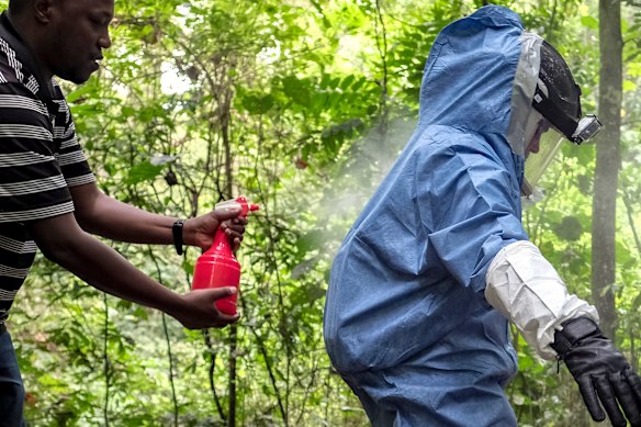 Gli epidemiologi hanno trascorso anni a studiare il virus Marburg nel Parco Nazionale Queen Elizabeth in Uganda.