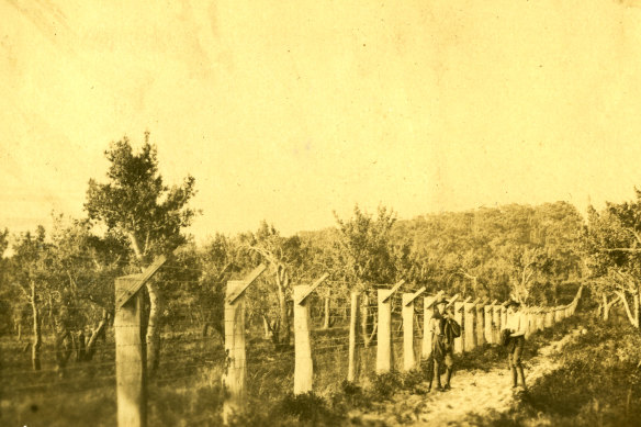 An older iteration of a fence at Wilsons Prom, date unknown. 