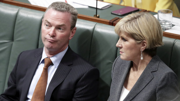 Coalition orders investigation on whether Pyne and Bishop are breaching ministerial standards