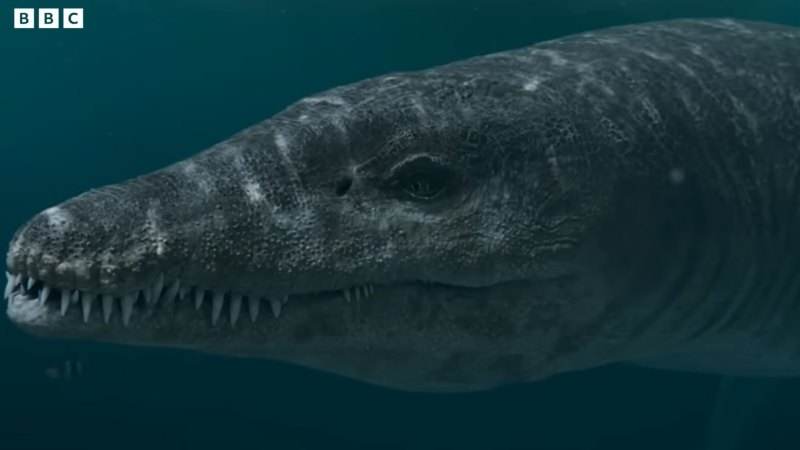 ‘T-Rex of the sea’ had a two-metre-long skull