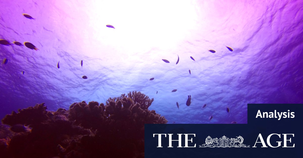 Why UN scientists singled out the Great Barrier Reef for criticism - Vimarsana News