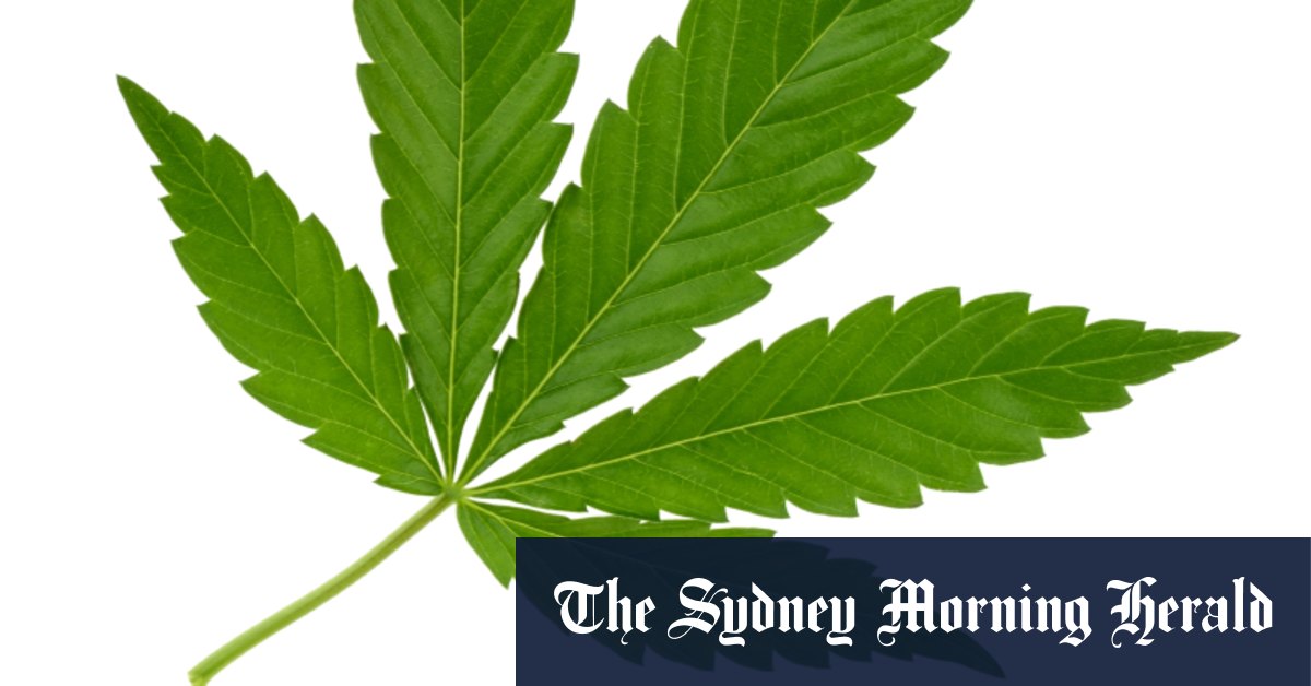 Cannabis home delivery points to new approach to weed