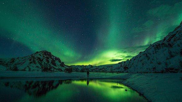 The Antarctica Experience. 