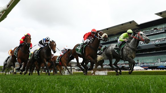 Racing NSW oversees the state’s thoroughbred industry.