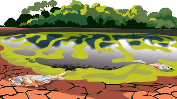 Illustration: Matt Davidson