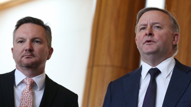 Treasury spokesman Chris Bowen and infrastructure spokesman Anthony Albanese are both contenders for the Labor leadership.