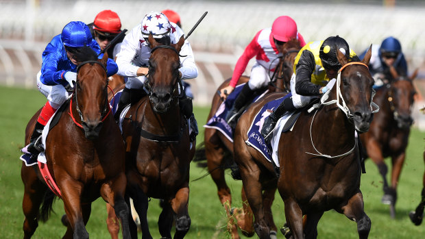 There are eight races on the card at Port Macquarie today.