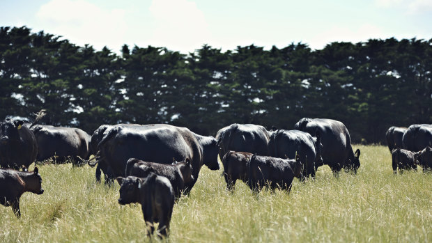 The weakening Australian dollar is giving a boost to Australian farm exports.