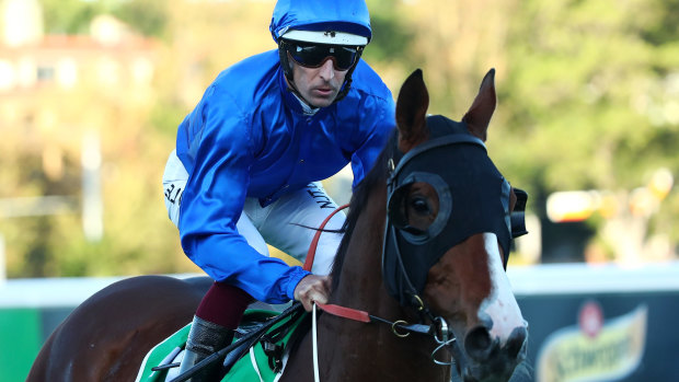 Godolphin's Phaistos is among the hopes for the Scone Cup on Friday.