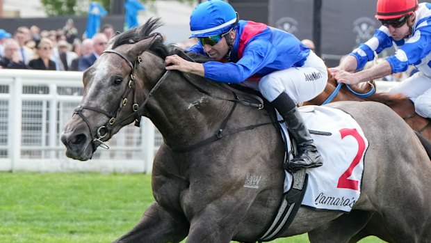 Getafix hasn’t lived up to her high expectations after an impressive debut.