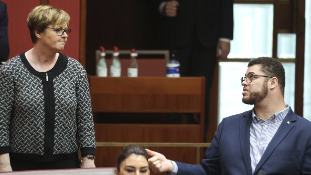 Minister for the NDIS Linda Reynolds and Greens Senator Jordon Steele-John.