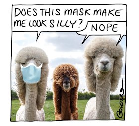 Illustration: Matt Golding   