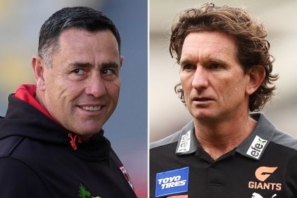 Chequered past: Shane Flanagan and James Hird.