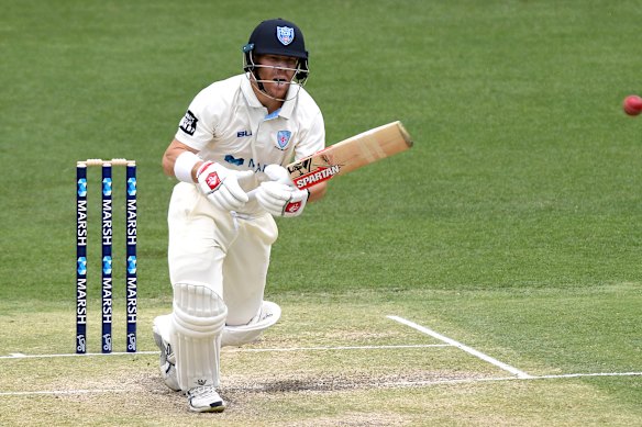 David Warner playing for NSW.