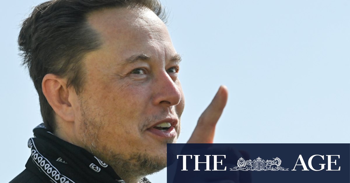 Insecure and in demand, Elon Musk has the world's strangest social calendar - Vimarsana News