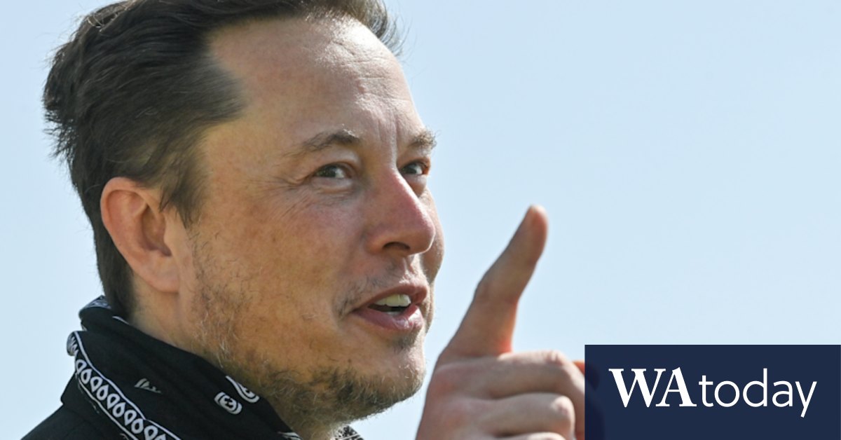 Elon Musk's strange social calendar including Burning Man, Hollywood parties - Vimarsana News