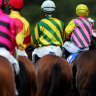 Race-by-race preview and tips for Thursday meeting at Coffs Harbour