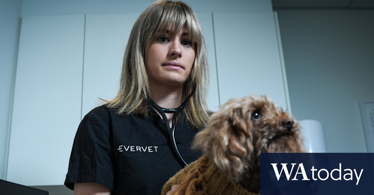 'People have unrealistic expectations': Disturbing reality pushes vets to distress, says the Australian Veterinary Association - Vimarsana News