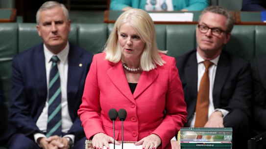 Industry Minister Karen Andrews is the first federal cabinet minister from Queensland. 
