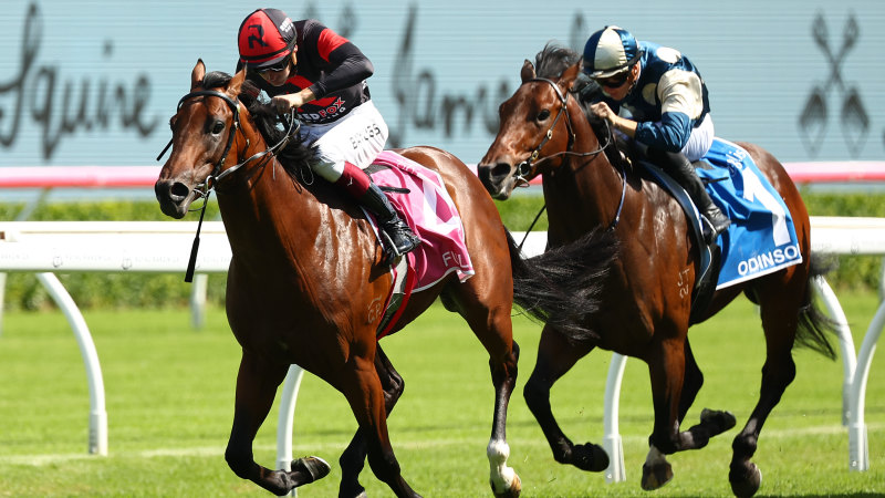 Storm Boy’s rider not blown off course by $60m sale