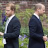 Prince Harry and Prince William in 2021.