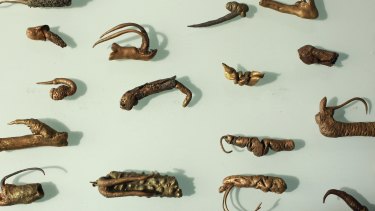 Maria Fernanda Cardoso's work depicting the genitalia of the damsel fly.