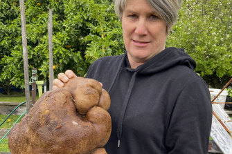 Donna Craig-Brown holds a large potato dug from her garden.