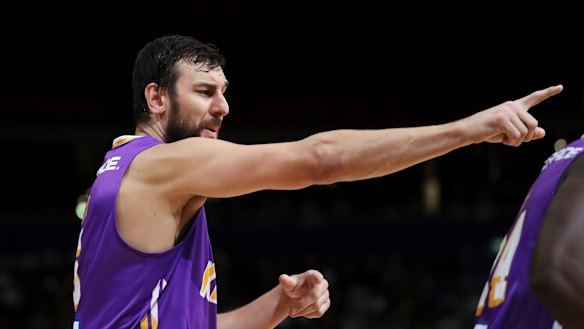 Andrew Bogut says Melbourne United have been set up to succeed.