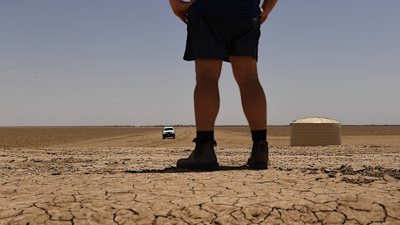 The manager of cotton farm, Darling Farms in North Bourke, stands on the bank of a dry irrigation channel looking out over the paddocks where cotton is grown. 