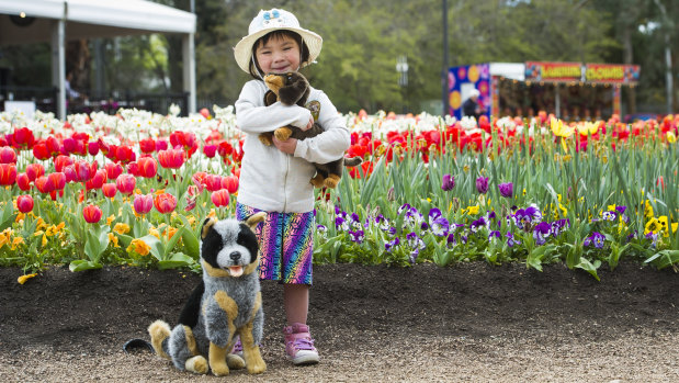 Candice Nguyen, 4, of Bonner cuddles toy dogs (courtesy of Wombat Cards and Gifts) as the final day at Floriade approaches and will be a 'Dog's day out' event.