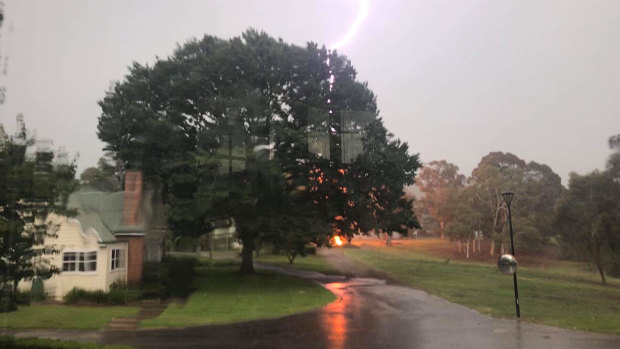 A lightning bolt hits a tree in Yarralumla on Friday afternoon. 