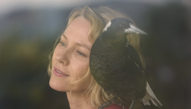 Out in January: Naomi Watts with magpie co-star in Penguin Bloom. 