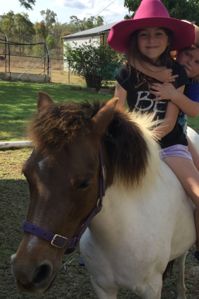 Queensland Police are appealing for help tracking down missing pony Flicka, beloved by her nine-year-old owner.