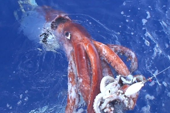 Post image 10