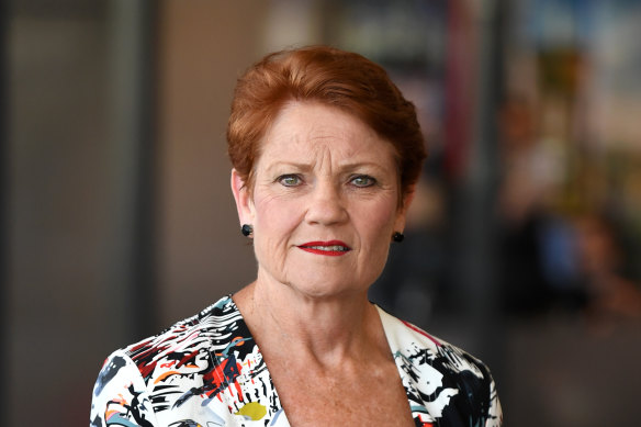 Pauline Hanson has spearheaded a legal challenge to the Queensland border restrictions.