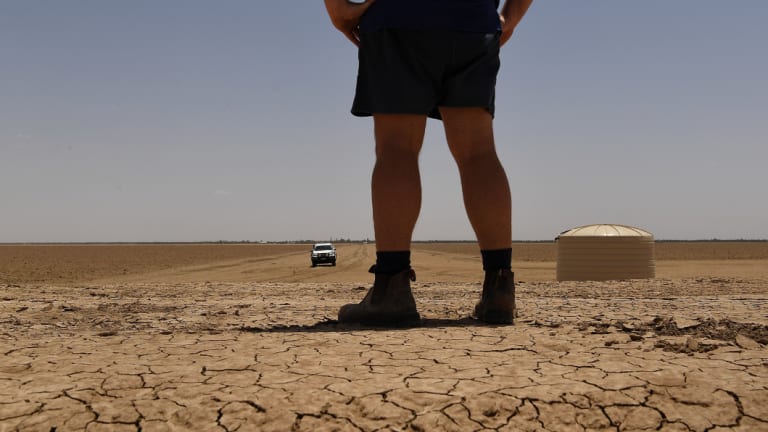 The manager of cotton farm, Darling Farms in North Bourke, stands on the bank of a dry irrigation channel looking out over the paddocks where cotton is grown. 