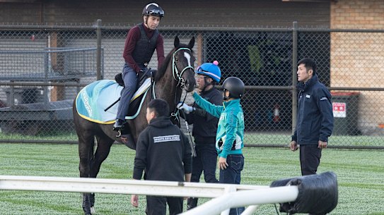 The Australian Turf Club have good reason to cheer Ascoli Piceno to victory in Saturday’s Golden Eagle