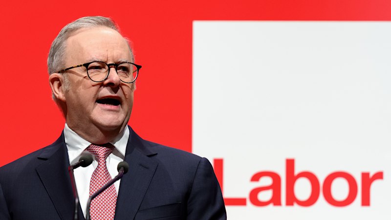 Labor is feeding on the misery of gambling addiction