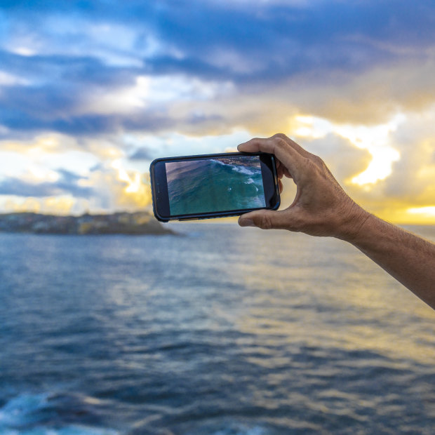 Iggleden uses his drone to broadcast Sydney’s sea life to the world.