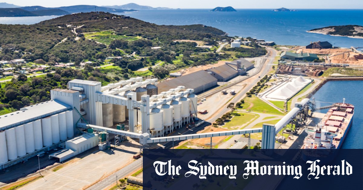 Fears crew of ship anchored off Albany coast could be infected with COVID - Vimarsana News