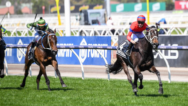Verry Elleegant storms away from a gallant Incentivise in the Melbourne Cup.