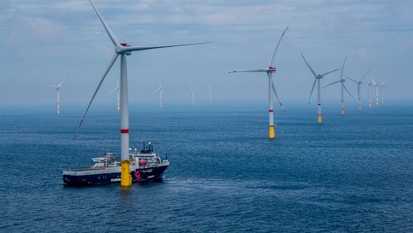 The Star of the South wind farm would look similar to the Veja Mate offshore wind farm in Germany.