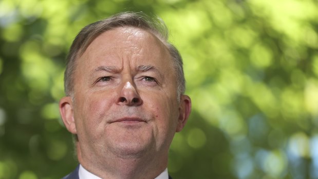 Labor leader Anthony Albanese will deliver a major foreign policy speech on Wednesday.